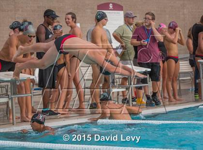 Thumbnail 3 in Hamilton @ Basha photogallery.