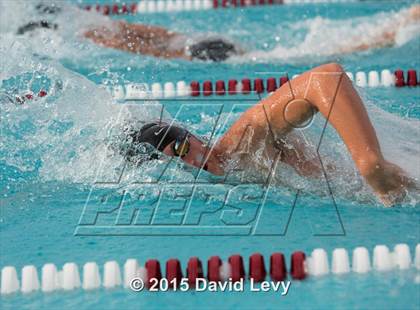 Thumbnail 1 in Hamilton @ Basha photogallery.