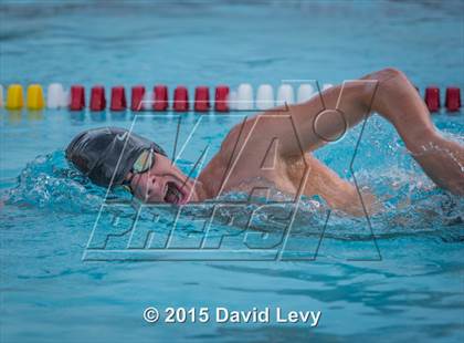 Thumbnail 2 in Hamilton @ Basha photogallery.