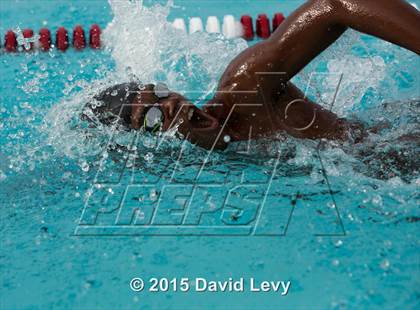 Thumbnail 2 in Hamilton @ Basha photogallery.