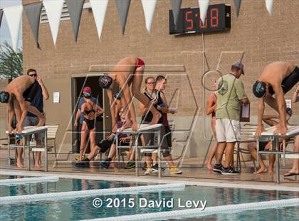 Thumbnail 3 in Hamilton @ Basha photogallery.