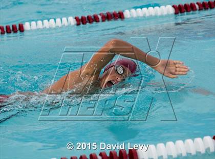 Thumbnail 2 in Hamilton @ Basha photogallery.