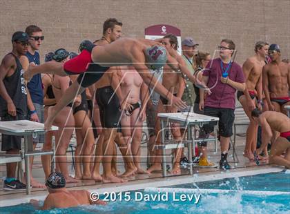 Thumbnail 2 in Hamilton @ Basha photogallery.