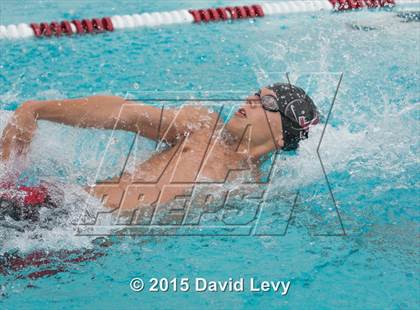 Thumbnail 3 in Hamilton @ Basha photogallery.