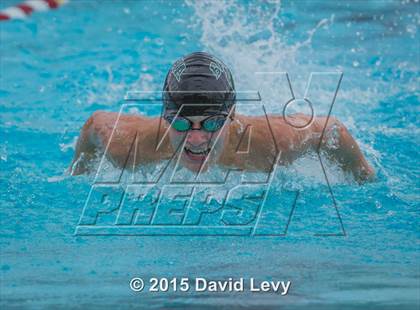 Thumbnail 2 in Hamilton @ Basha photogallery.