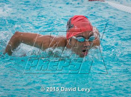 Thumbnail 3 in Hamilton @ Basha photogallery.