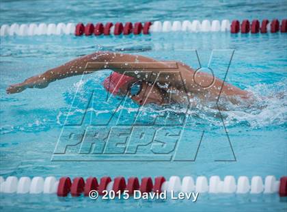 Thumbnail 3 in Hamilton @ Basha photogallery.