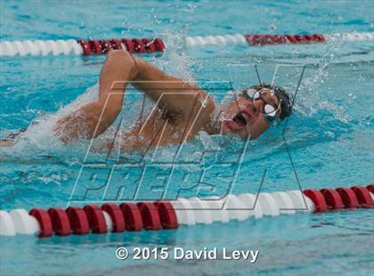 Thumbnail 3 in Hamilton @ Basha photogallery.