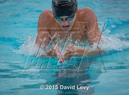 Thumbnail 2 in Hamilton @ Basha photogallery.