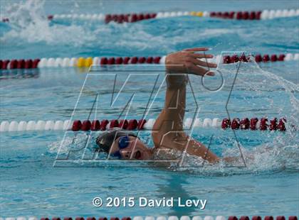 Thumbnail 3 in Hamilton @ Basha photogallery.