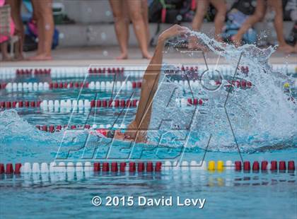 Thumbnail 2 in Hamilton @ Basha photogallery.