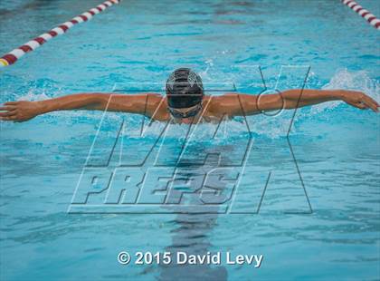 Thumbnail 3 in Hamilton @ Basha photogallery.