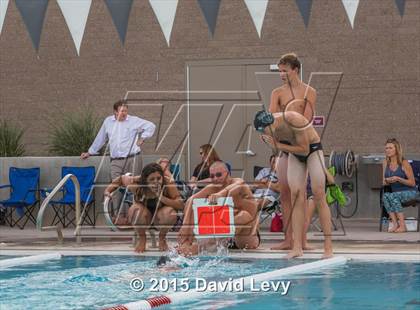 Thumbnail 3 in Hamilton @ Basha photogallery.