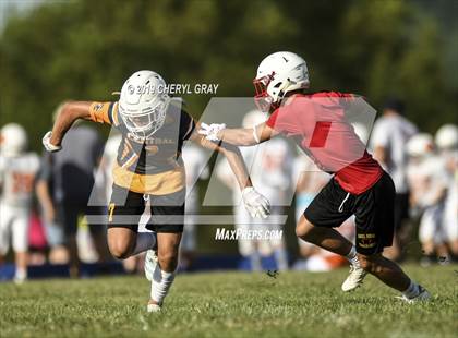 Thumbnail 3 in Sullivan Central vs. Daniel Boone (7-on-7)  photogallery.