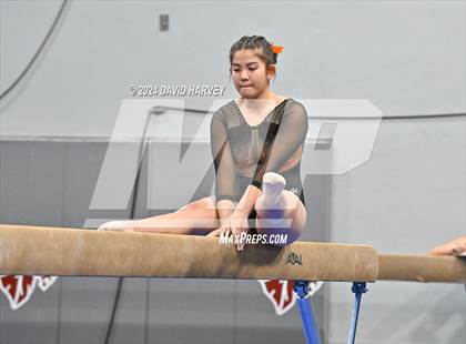 Thumbnail 3 in Chatfield Gymnastics photogallery.