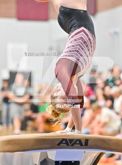 Thumbnail 3 in Chatfield Gymnastics photogallery.