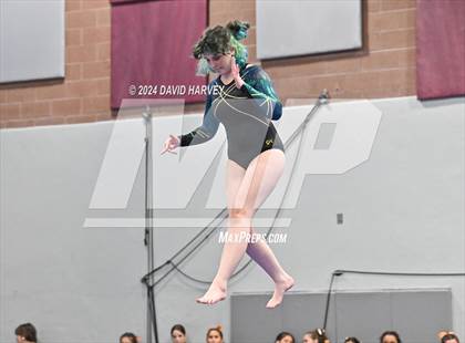 Thumbnail 3 in Chatfield Gymnastics photogallery.