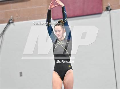 Thumbnail 2 in Chatfield Gymnastics photogallery.