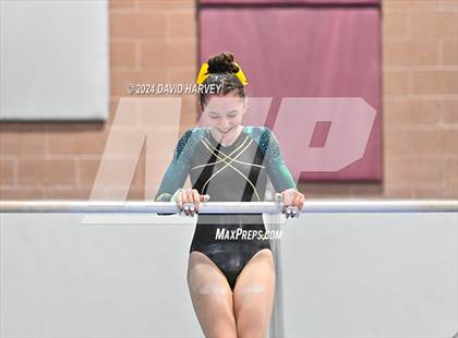 Thumbnail 3 in Chatfield Gymnastics photogallery.