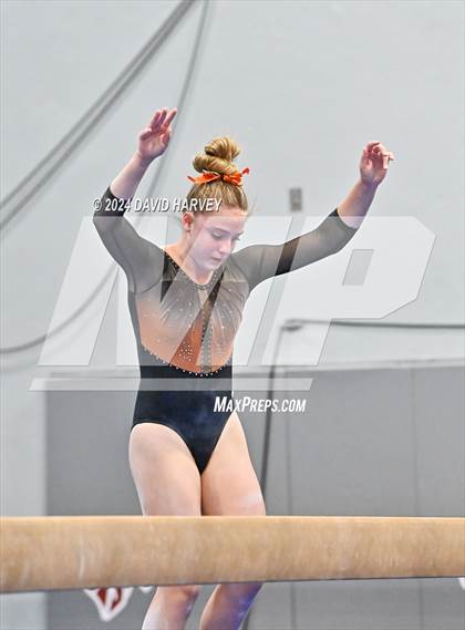 Thumbnail 3 in Chatfield Gymnastics photogallery.