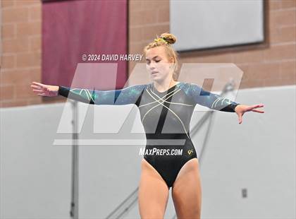 Thumbnail 1 in Chatfield Gymnastics photogallery.