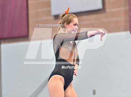 Thumbnail 1 in Chatfield Gymnastics photogallery.