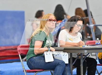 Thumbnail 2 in Chatfield Gymnastics photogallery.