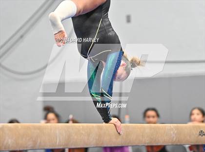 Thumbnail 2 in Chatfield Gymnastics photogallery.