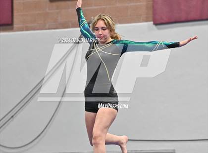 Thumbnail 2 in Chatfield Gymnastics photogallery.