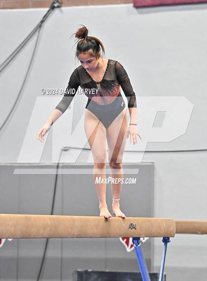 Thumbnail 1 in Chatfield Gymnastics photogallery.