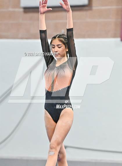 Thumbnail 3 in Chatfield Gymnastics photogallery.