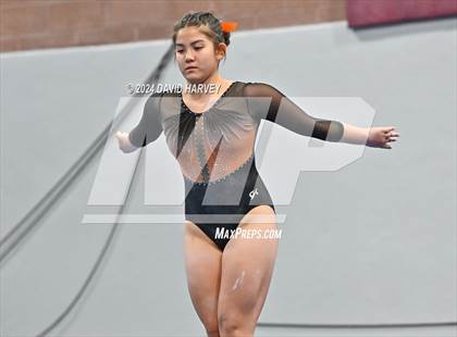 Thumbnail 3 in Chatfield Gymnastics photogallery.