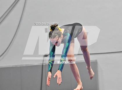 Thumbnail 2 in Chatfield Gymnastics photogallery.