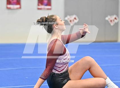 Thumbnail 1 in Chatfield Gymnastics photogallery.