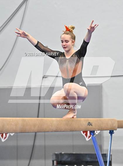 Thumbnail 3 in Chatfield Gymnastics photogallery.