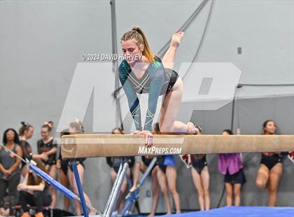 Thumbnail 1 in Chatfield Gymnastics photogallery.