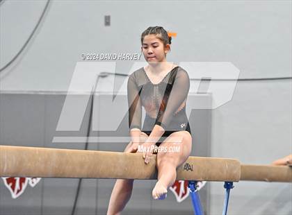 Thumbnail 1 in Chatfield Gymnastics photogallery.