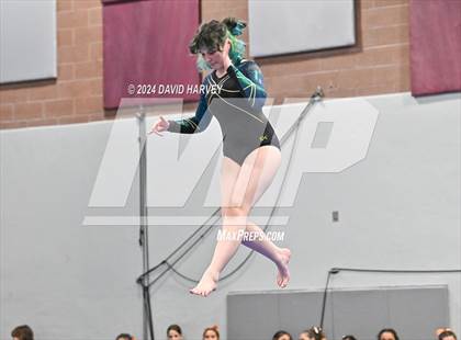 Thumbnail 2 in Chatfield Gymnastics photogallery.