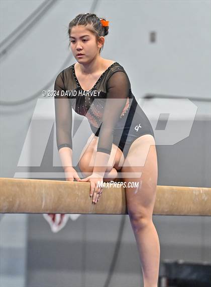 Thumbnail 3 in Chatfield Gymnastics photogallery.