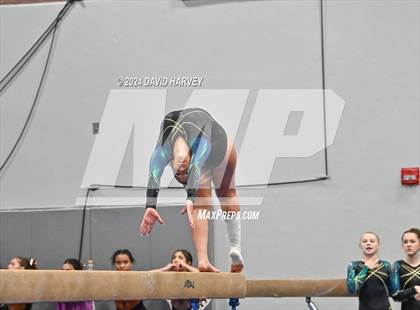 Thumbnail 1 in Chatfield Gymnastics photogallery.