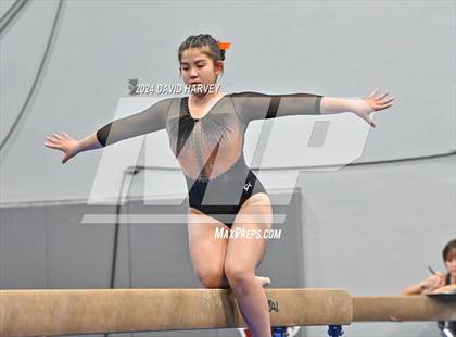 Thumbnail 2 in Chatfield Gymnastics photogallery.