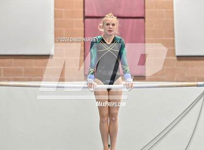 Thumbnail 1 in Chatfield Gymnastics photogallery.