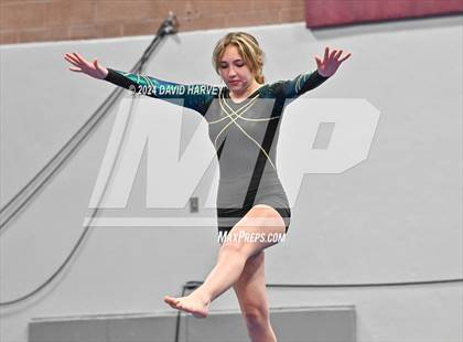 Thumbnail 1 in Chatfield Gymnastics photogallery.