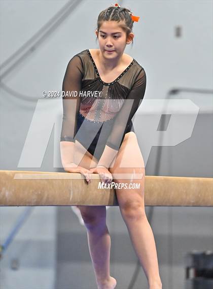 Thumbnail 2 in Chatfield Gymnastics photogallery.