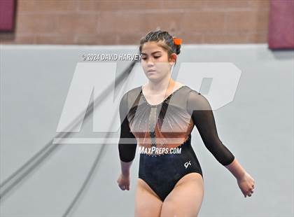 Thumbnail 1 in Chatfield Gymnastics photogallery.