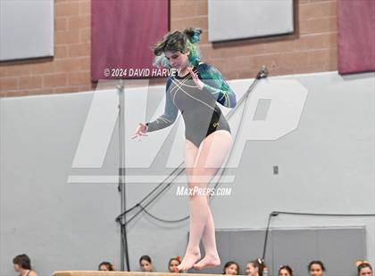 Thumbnail 1 in Chatfield Gymnastics photogallery.