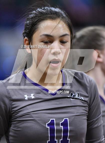 Thumbnail 1 in Discovery Canyon vs. Palmer Ridge (CHSAA 4A Playoff) photogallery.