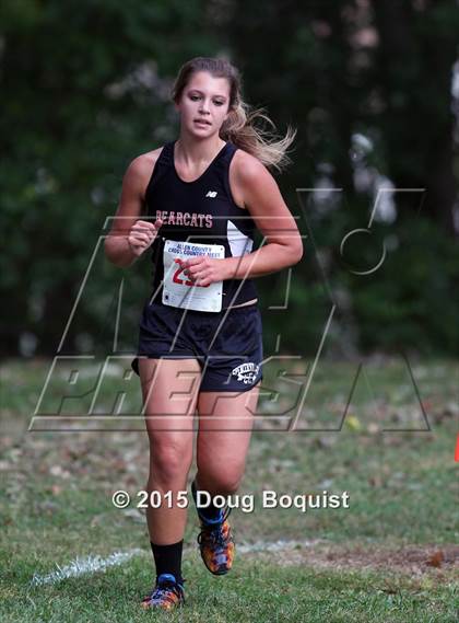 Thumbnail 1 in Allen County Cross Country Meet photogallery.