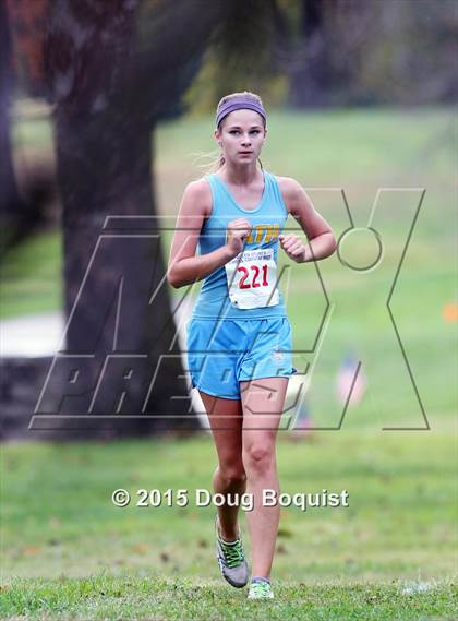 Thumbnail 1 in Allen County Cross Country Meet photogallery.