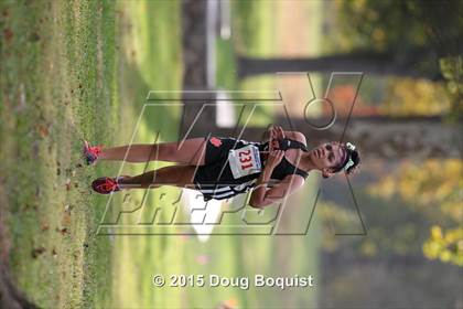 Thumbnail 2 in Allen County Cross Country Meet photogallery.